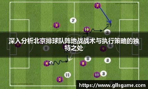 深入分析北京排球队阵地战战术与执行策略的独特之处
